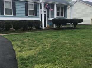Bush Trimming by Harold Guzman for Becca k. in Manassas, VA