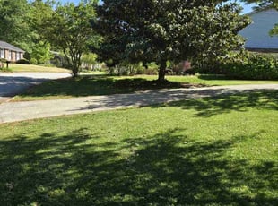 Randy G.'s Yard Cutting service result