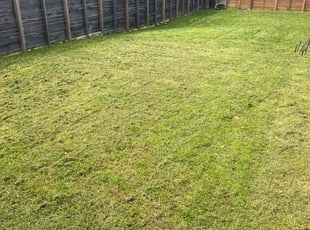 BJ S.'s Yard Cutting service result