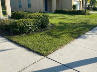 Frances K.'s Grass Cutting service result