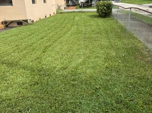 Charlene P.'s Lawn Mowing service result