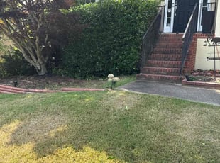 Bush Trimming by Jeremy Waller for Chris M. in Marietta, GA