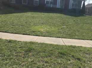 Leaf Removal by Zane Vogelsang for Stephanie S. in Liberty Township, OH