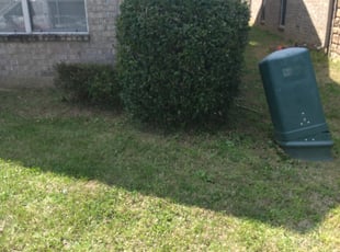 Bush Trimming by Robert Beals for Earnestine F. in Memphis, TN