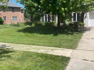 Basma P.'s Lawn Care service result