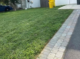 Anju T.'s Lawn Care service result