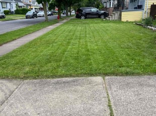 Carolyn S.'s Lawn Mowing Service service result