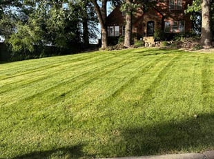 Anna M.'s Lawn Maintenance service result