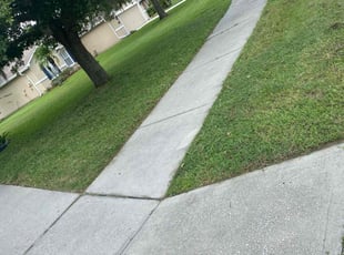 Amber S.'s Lawn Care service result