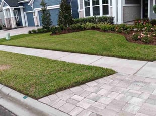 Alejandro R.'s Lawn Mowing service result