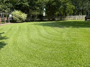 Taylor K.'s Grass Cutting service result