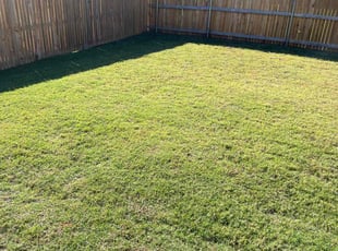 Alwyn D.'s Lawn Mowing Service service result