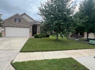 Fernando M.'s Grass Cutting service result