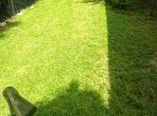 Kathy C.'s Lawn Maintenance service result