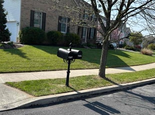 Angel M.'s Lawn Maintenance service result