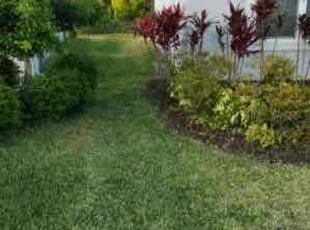 Eddie M.'s Lawn Service service result