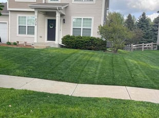 Ebony W.'s Lawn Mowing service result