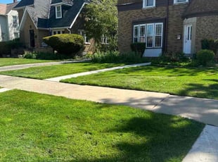Timothy S.'s Lawn Care service result