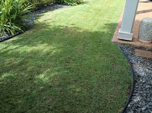 Michael F.'s Lawn Mowing service result