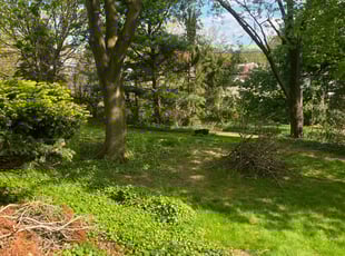 Leaf Removal by Green River landscape LLC for Rasheeda C. in Harrisburg, PA