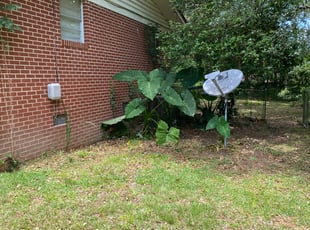 Landscaping by Katia Montalvo_ Coffie for Kirk R. in Tallahassee, FL