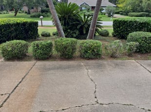 Bush Trimming by John Joens for Karen K. in Navarre, FL