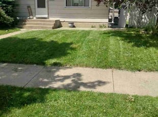 Ava J.'s Lawn Maintenance service result