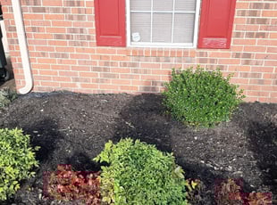 Weeding by Calvin Smith for Chekesha J. in Memphis, TN