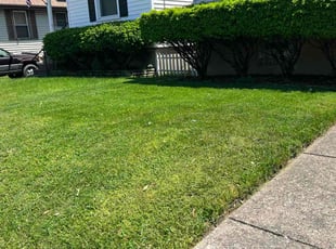BRANDON M.'s Grass Cutting service result