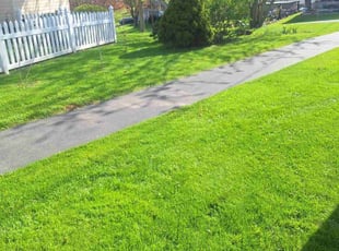 Amy B.'s Lawn Maintenance service result