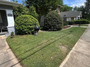 Uday T.'s Lawn Service service result