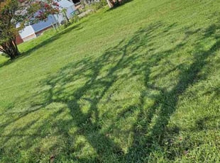 Nicole S.'s Lawn Care service result