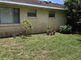 Weeding by Elvin Aponte for Jeffrey K. in Kissimmee, FL