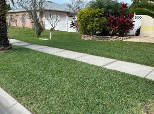 Pete M.'s Lawn Care service result