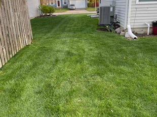 Sydney B.'s Lawn Mowing service result