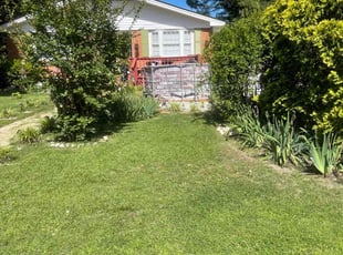 Erica W.'s Lawn Mowing service result