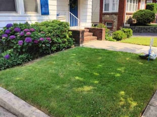 Ellie K.'s Lawn Mowing service result
