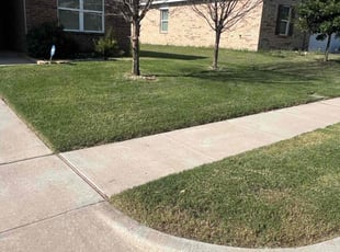 Terry M.'s Grass Cutting service result