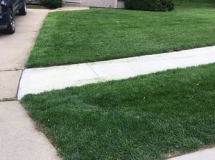 James M.'s Grass Cutting service result