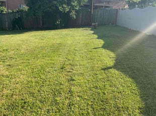 David F.'s Lawn Mowing service result