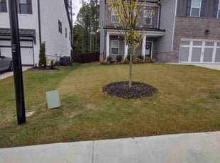 Johnny J.'s Grass Cutting service result
