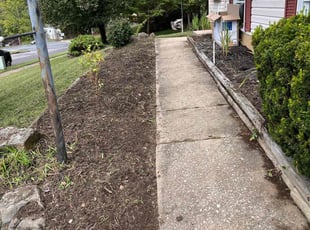 Weeding by Dimas Lopez for Irene l. in Catonsville, MD