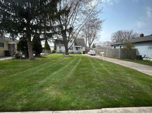Kassie T.'s Lawn Mowing service result