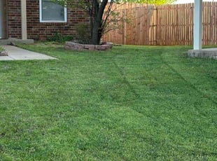 Bill L.'s Lawn Maintenance service result