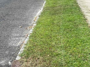 Carson G.'s Yard Cutting service result