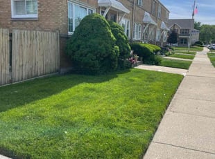 Calvine T.'s Lawn Mowing service result