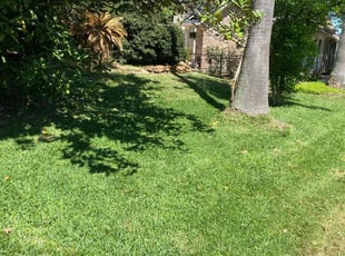 Persi L.'s Yard Cutting service result