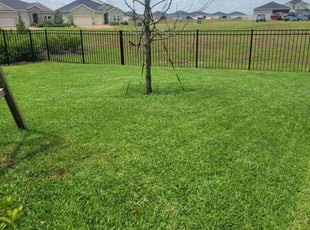 Rich J.'s Lawn Service service result