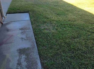 Shun D.'s Lawn Mowing service result