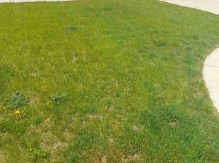 Aeration by Daniel Whitford for Victoria A. in Cedar Rapids, IA